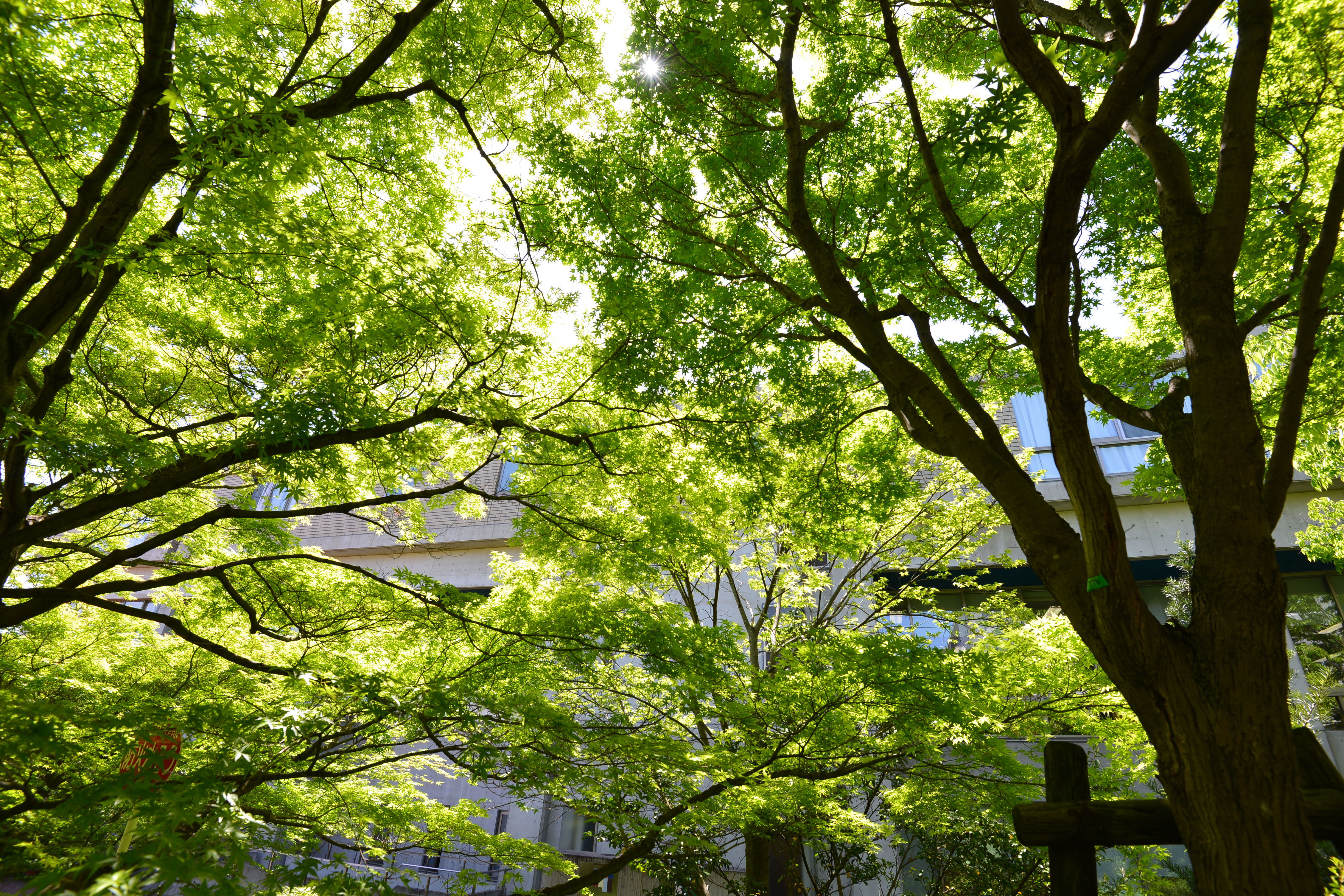 繋がりと支えの中で生きる えがおカフェプロジェクトの経験から学んだこと 国立大学法人 大阪教育大学