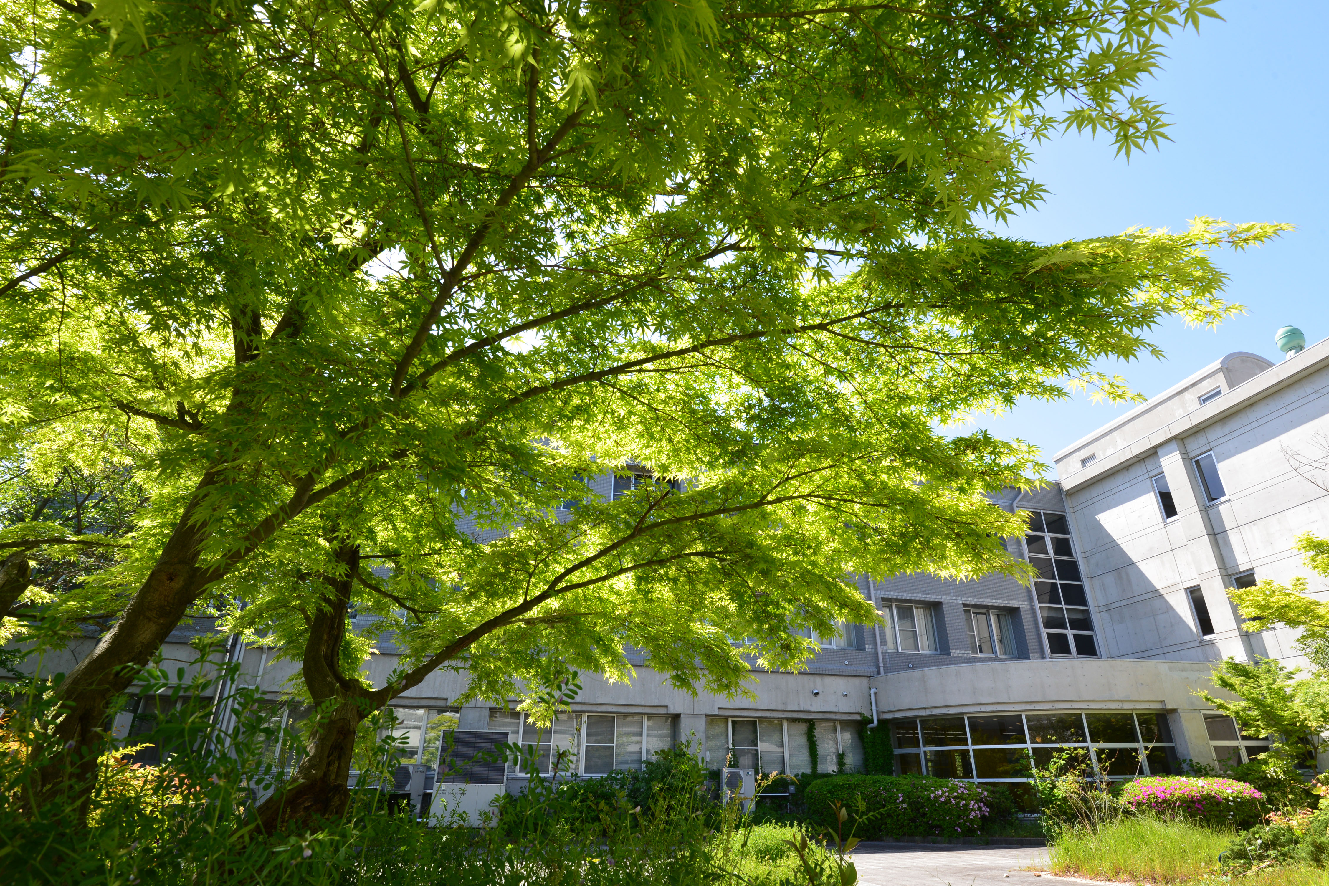 情熱 国立大学法人 大阪教育大学