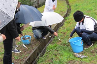 球根を植える学生たち