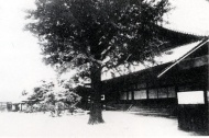 興正寺別院に設置された大阪府師範学校の写真