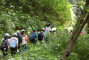 高尾山を歩く学生と児童たち