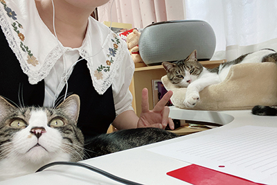 2匹の猫と一緒に勉強する学生